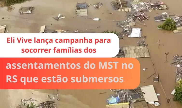 Capa da Notícia